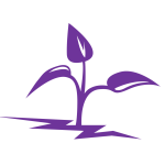 A plant growing strong out of a crack in dry ground