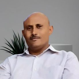 Image of Lisanu Ashebir Abraha