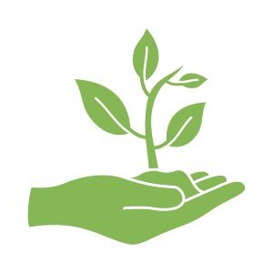 Icon of a hand holding a small plant grown from a seed